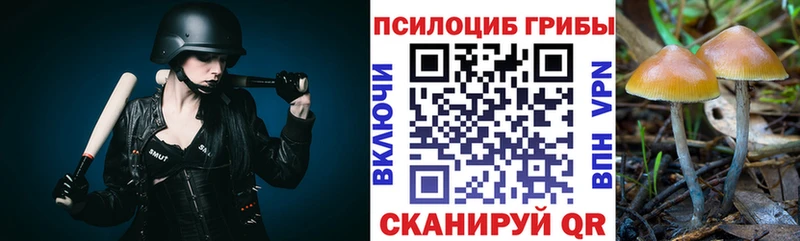 купить закладку  Североуральск  Галлюциногенные грибы Magic Shrooms 